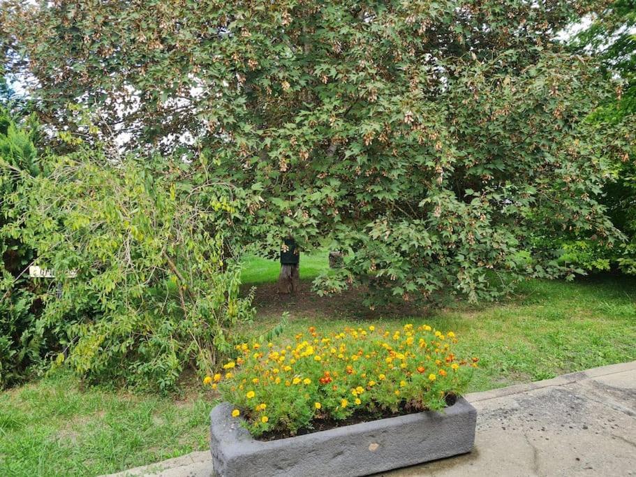 Petit Gite 18 Eme Tout Confort Saint-Germain-des-Fosses ภายนอก รูปภาพ